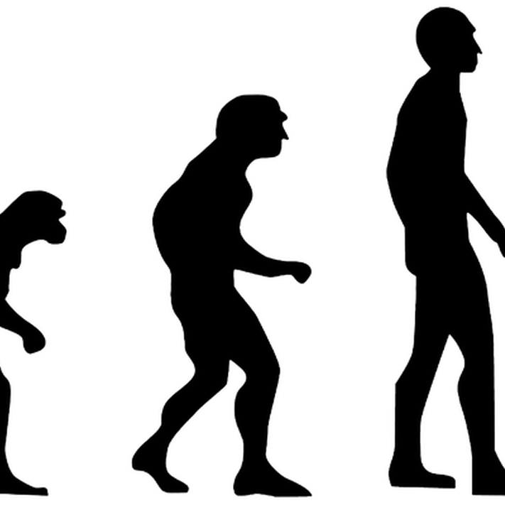 Le C4E est un excellent moyen de s'adapter au darwinisme numérique