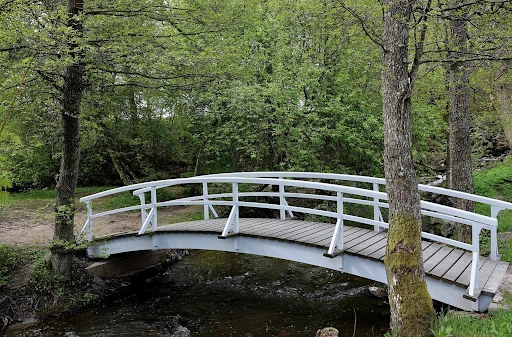 Faites du dialogue social un levier de vitesse pour votre roadmap IA