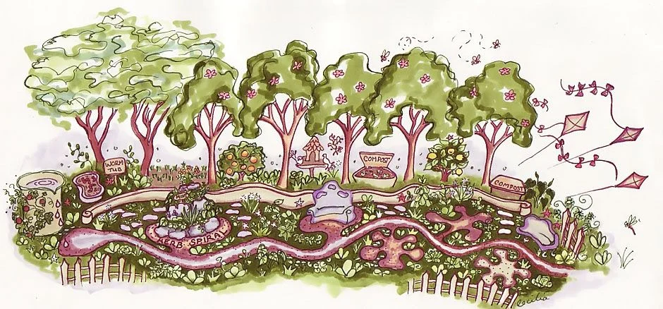 Un système d'information… conçu en permaculture